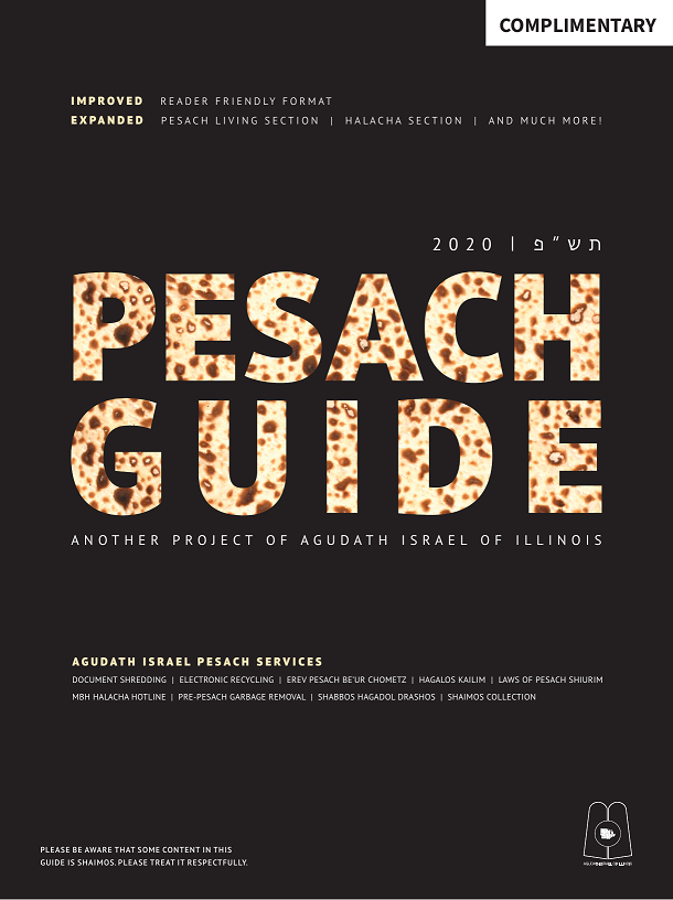Pesach Guide